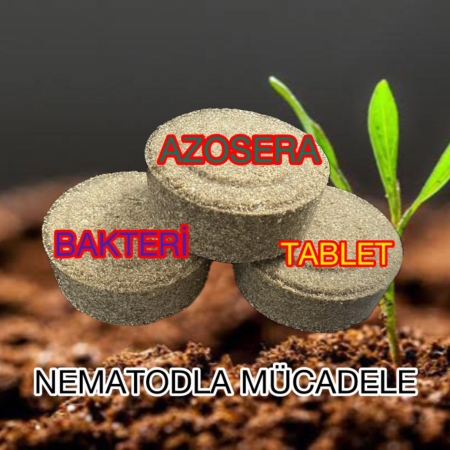 AZOSERA İNAKTİF BAKTERİ TABLET VE ÖZELLİKLERİ