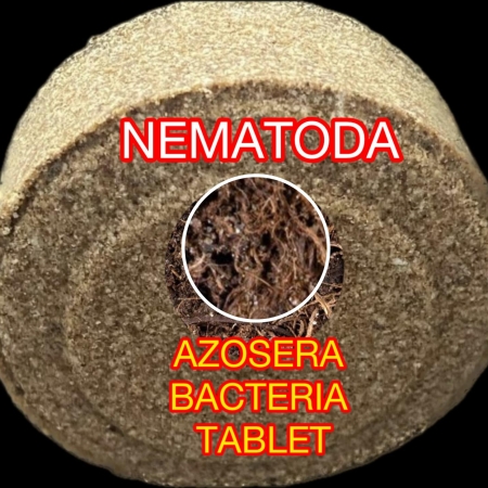 AZOSERA İNAKTİF BAKTERİ TABLET